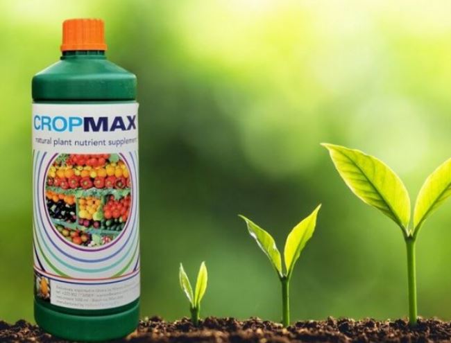 stimulator de crestere pentru legume Cropmax